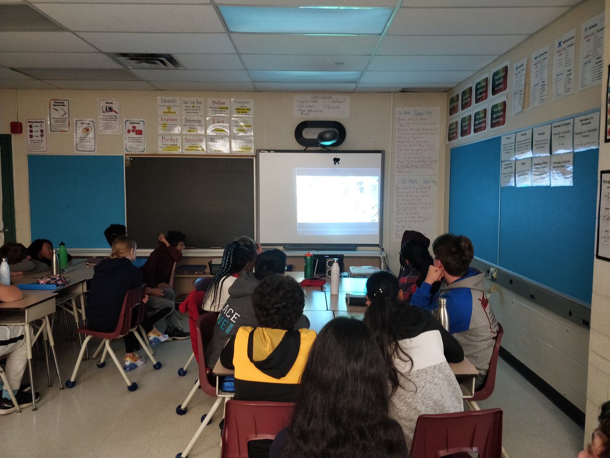 mmethomaidis's tweet photo. @BogartPS grade 8's learning about French culture in Haiti #laoujedors #french #culture https://t.co/FozOGA5FTi