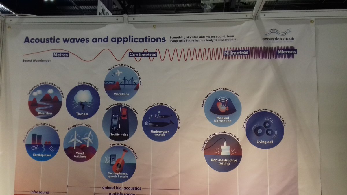 Dr Elena Simone tweet media