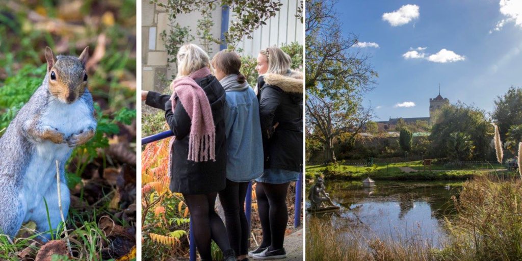 With many Autumnal walks to explore in and around Eastbourne, take a look at our top 10 from coastal strolls to discovering the blue plaque trail 🍂 🌿 #getactive #explore #walks visiteastbourne.com/blog/10-Walks-…