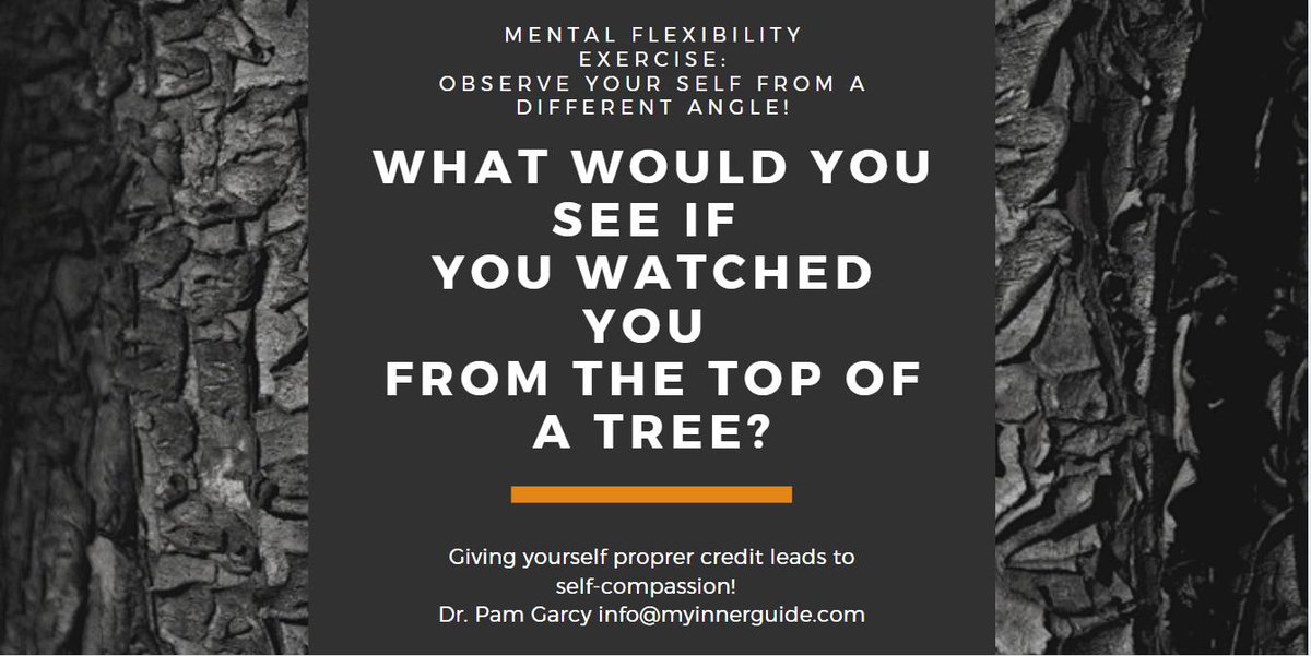 DrPamGarcy's tweet photo. Here's another self-compassion exercise, rooted in mental flexibility: What would you see in your own efforts, behaviors, and interactions with others...if you looked at yourself from a different angle? #dallaslifecoach #selfcompassion https://t.co/xU0uIIBNS3