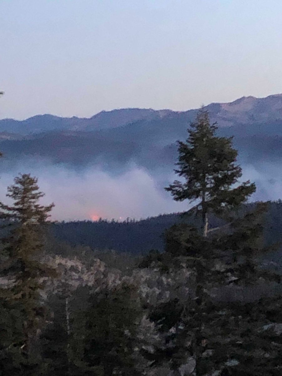 UCsierraforest's tweet image. You can see some individual tree torching on the #caples Rx Burn from highway 88. Very gusty winds.