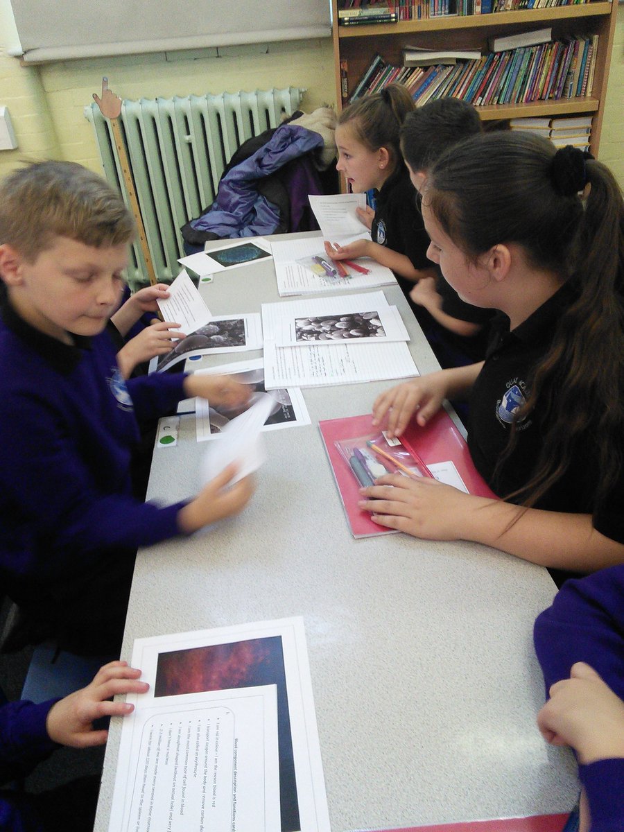 QuayYr5's tweet photo. In science this afternoon, 5EF investigated the different parts of our blood and discusssed why it is important. Then we made our very own blood smoothies! @QuayAcademy @QuayVP https://t.co/tLRWfPVkHv