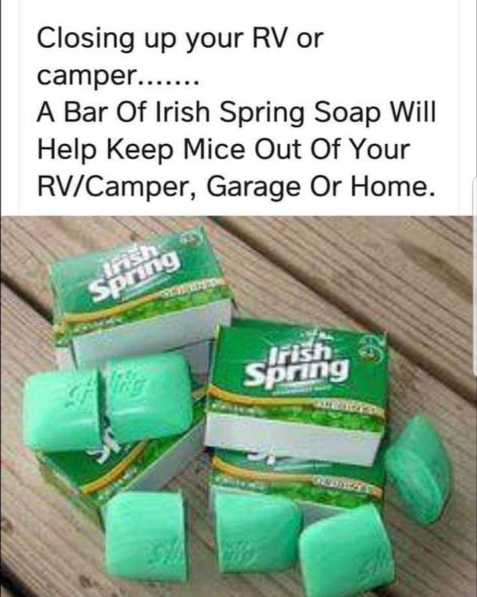 ECSPremier2018's tweet image. It is that time of year to start closing up your RV! Check our our Pinterest page for some great RV winterizing ideas! 
ow.ly/VI2a50wGAn8
#ecspremier #wintersucks #rvwinterization #winter #happytrailsrvcords #tipsandtricks