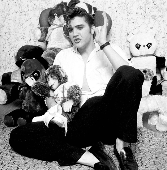 EverythingElvis's tweet photo. @VisitGraceland Elvis isn't short of any Teddy Bears after 'Loving You'! https://t.co/1Rv0SfqhPq