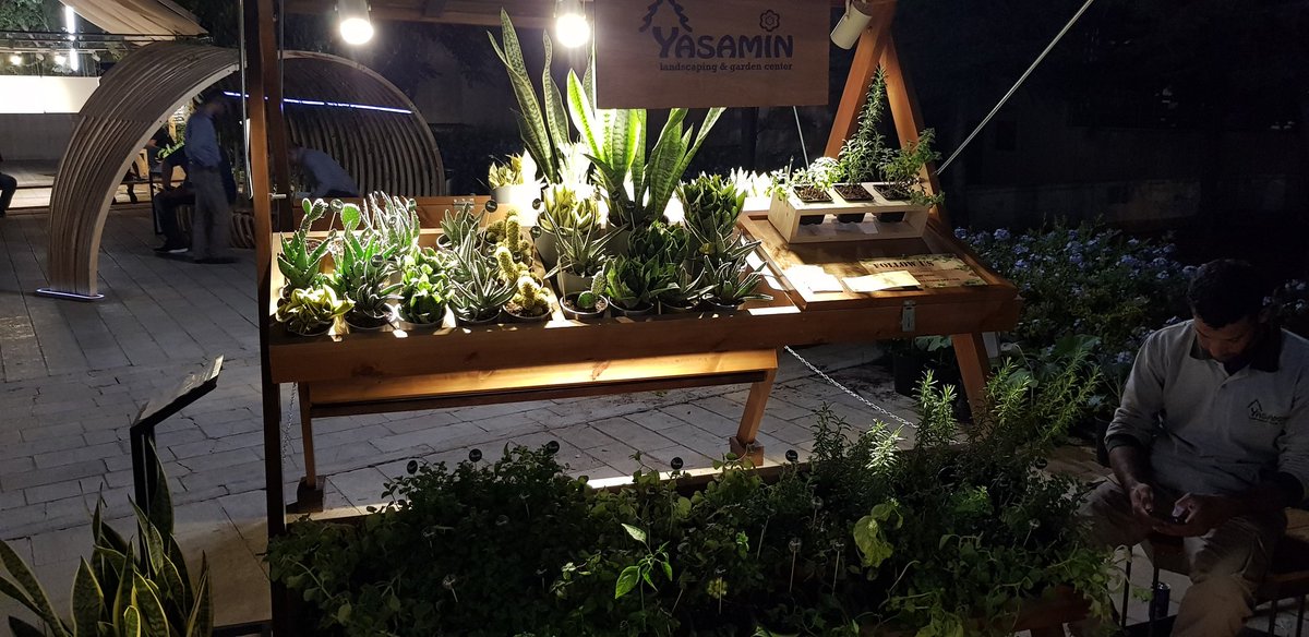 Narwhal66's tweet image. Plants! @ponchoplants you&apos;d be impressed! #AmmanDesignWeek #futurecity