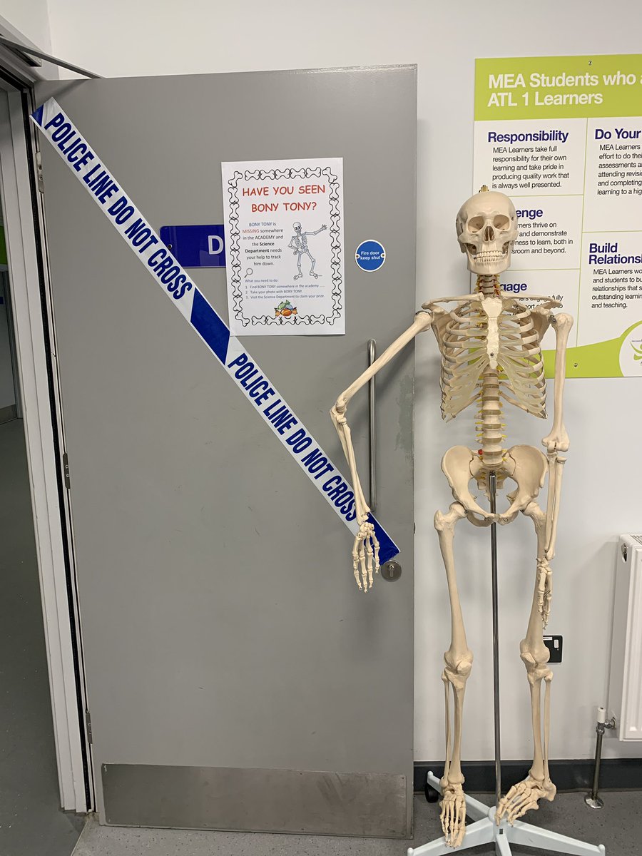 MEA_science's tweet photo. BREAKING NEWS: Bony Tony is missing! Can you find him at @MEAcad open evening? https://t.co/UEvU0tcT1e