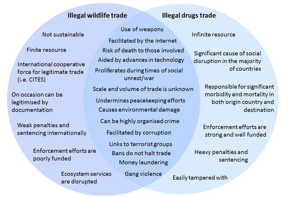 S_E_Banks's tweet photo. Gangs and organised criminal groups often take part in more than one illicit trade at any one time. This afternoon I've been thinking through the intersection between the illegal trade in drugs and wildlife. Both of which have significant impacts on society. #SeizedGallery https://t.co/39127pR0Bb