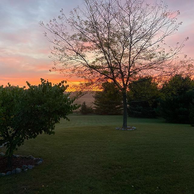 SKaiser28's tweet photo. This was my view outside my bedroom window this morning. 
#smalltowncharm #farmsfordays #michigansunrise https://t.co/78y1c8Zha2 https://t.co/JLCrjNUYOz