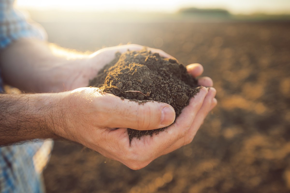 With climate change and population growth expected to reach 10 billion by 2050, it is clear that the #agriculture sector needs to change. Read in this blog about the role of AgroCares technology in making the shift to #sustainable agricultural practices: buff.ly/2M2jaEN
