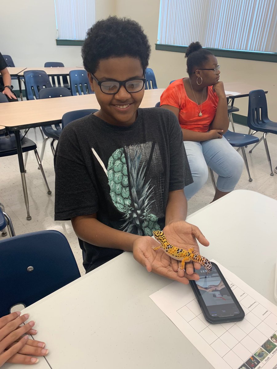 Hillsborough Virtual School tweet media