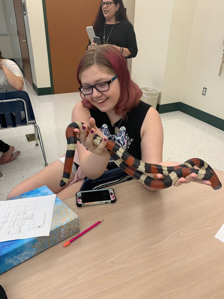 Hillsborough Virtual School tweet media