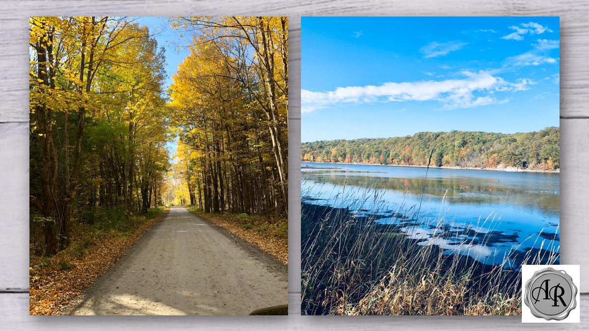 Sold85's tweet image. Some days it’s hard to believe I’ve had the privilege of doing what I love for the last 12 years! What a drive. #infrontenac #lovewhatyoudo #realestate #southfrontenac