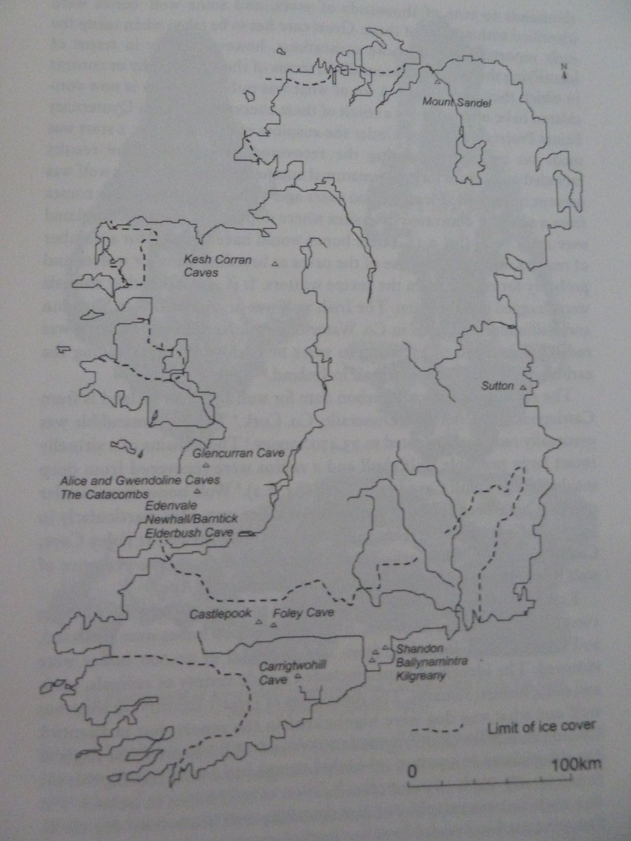 Radiocarbon-dating on cave bones shows that the wolf was present in  #Ireland at least 28,000 years ago! The earliest date was found in Shandon & Ballinamintra Caves, Co Waterford. The 40,000 Irish ringforts were built to keep them out once humans arrived! from K Hickey's book.