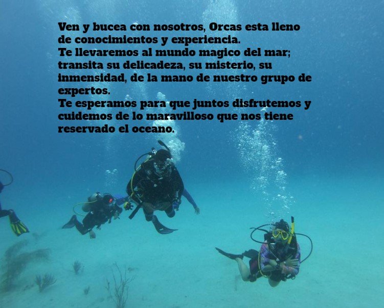 ClubOrcas's tweet photo. Lo esperamos en nuestros cursos y salidas. https://t.co/XW06iQQ5fB