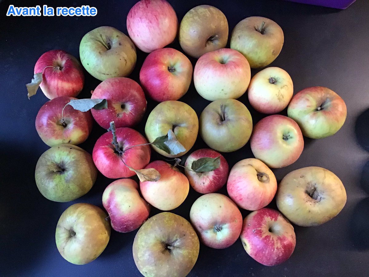 ce1_MB's tweet photo. Bonjour, voici le problème du jour.Hier, j’ai préparé une compote avec les pommes du jardin.J’ai pris une photo après ma cueillette et une autre une fois la compote cuite.Trouve le nombre de pommes que j’ai utilisées pour ma recette. https://t.co/NNnRydwtSo