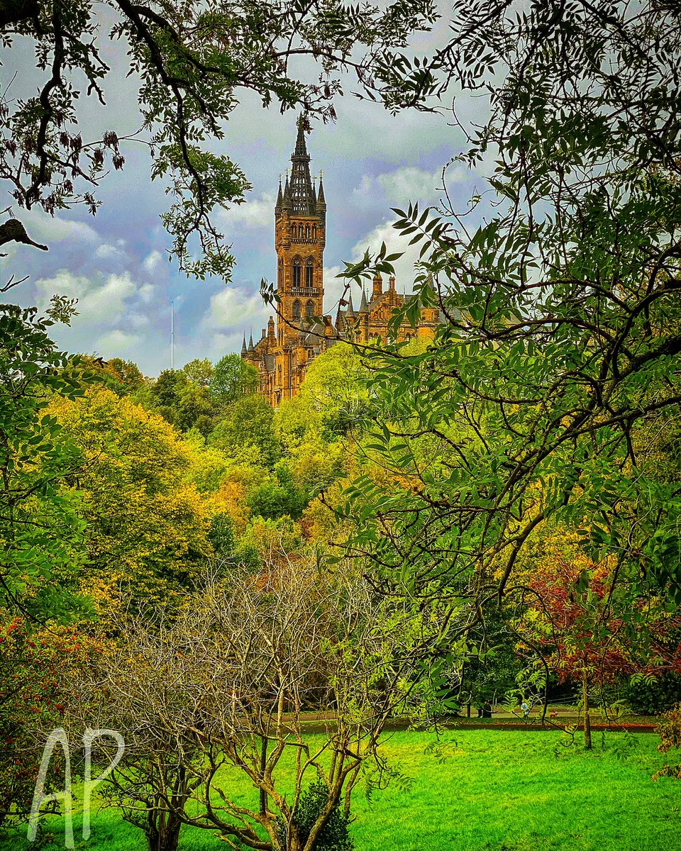 Dr.P_78Glasgow tweet media