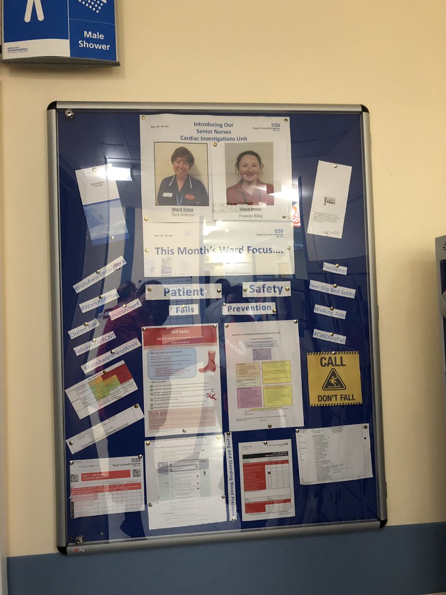 RCHTFallsand3Ds's tweet photo. Finished today’s walkabouts! Loved the #fallsprevention boards from Lowen, CIU and Roskear! #redsocks #bloodpressure #FallFreeatRCHT https://t.co/Aff6TFfmjj