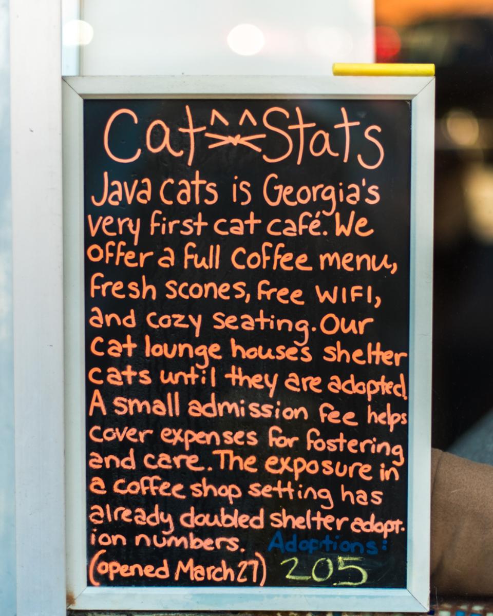 JavaCatsCafe's tweet image. If you don't know, now you know, ATL! 😸