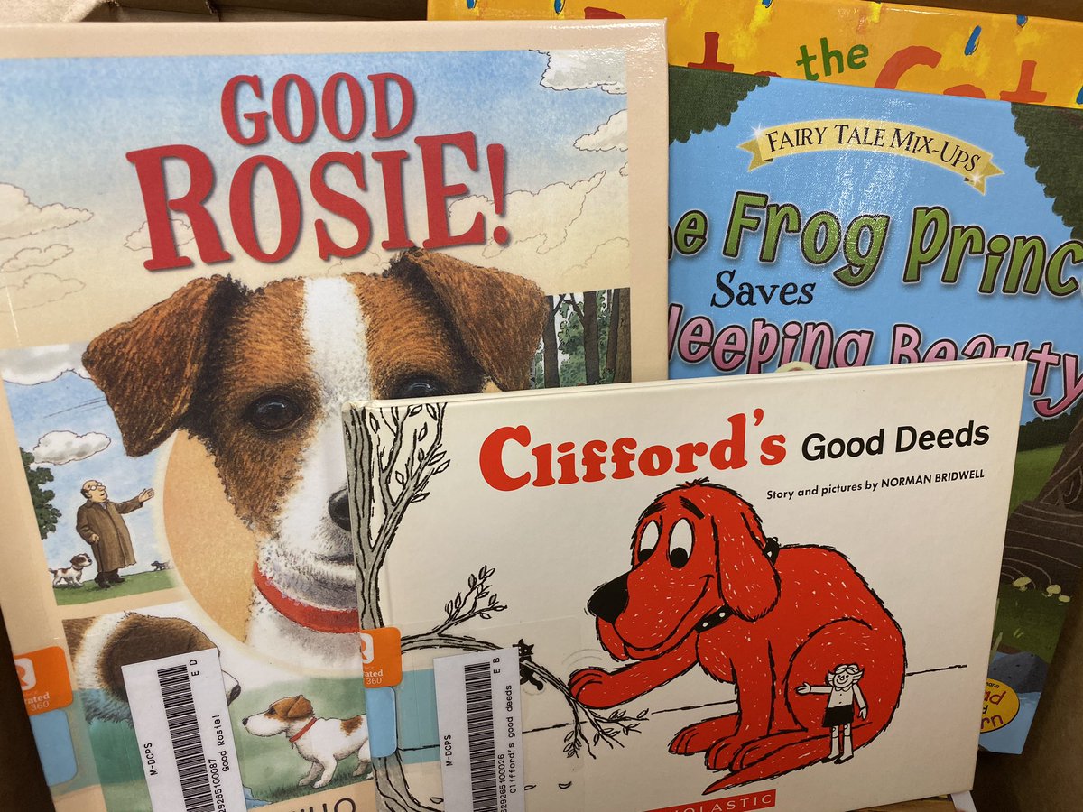 Dayami Borges tweet media