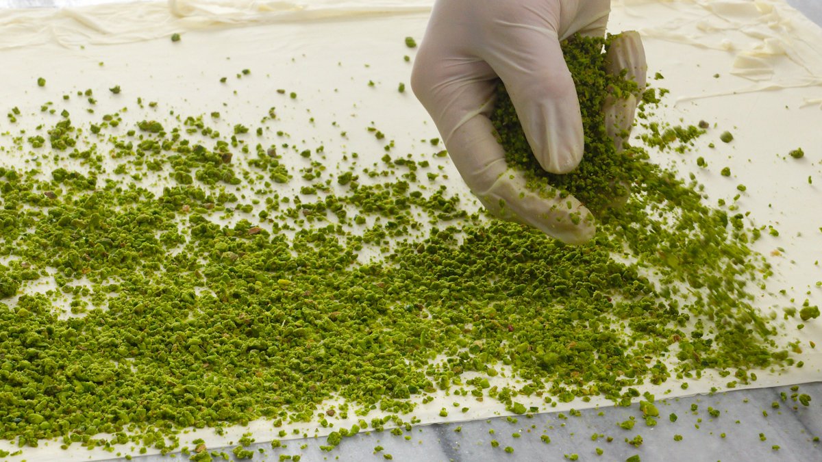 ŞAHASER İS LOADİNG...