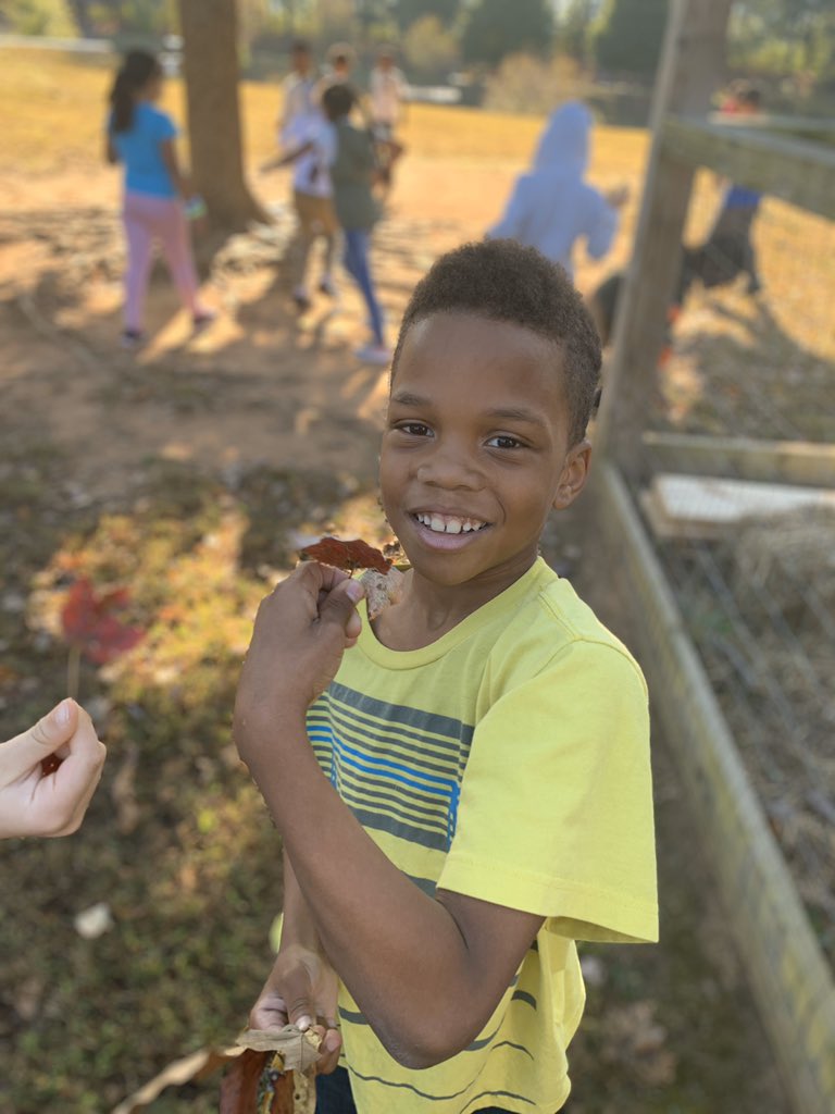 LilyBrookman's tweet photo. Second grade jackrabbits taking a walk, exploring the changes of fall, and collecting interesting leaves for sketching. Art should not be glued to a desk! #jacksonvia @jvjackrabbit https://t.co/z5FXAoiyJm
