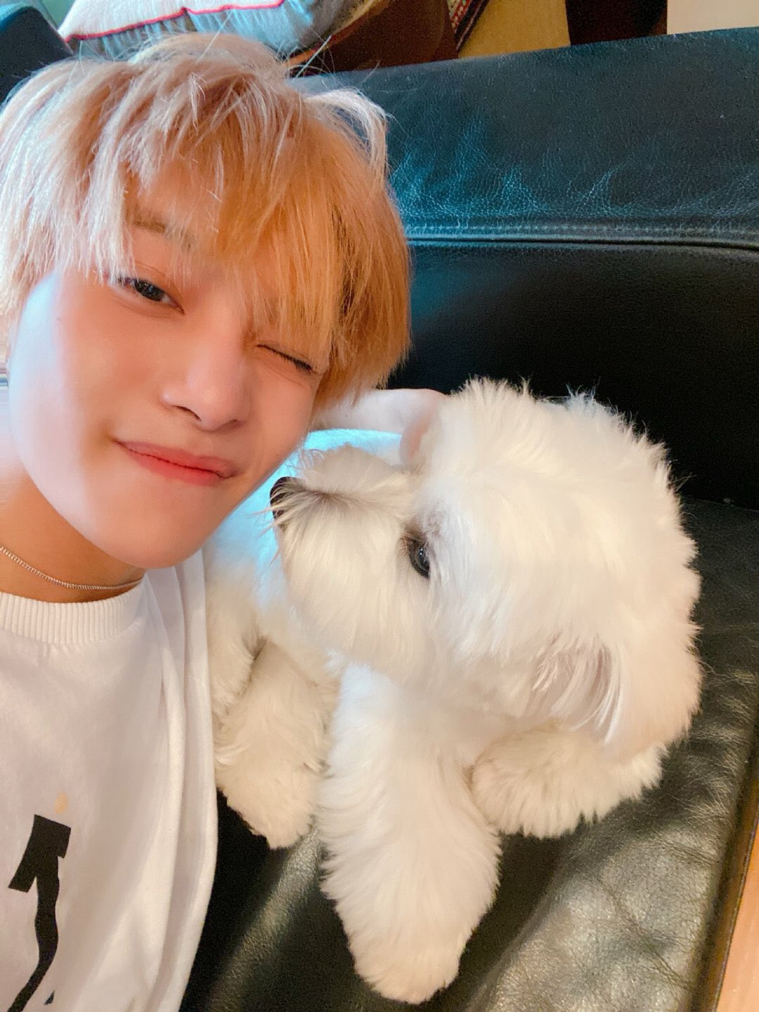 sushi в X: „YANGYANG said his dog Nian Nian also couldn't