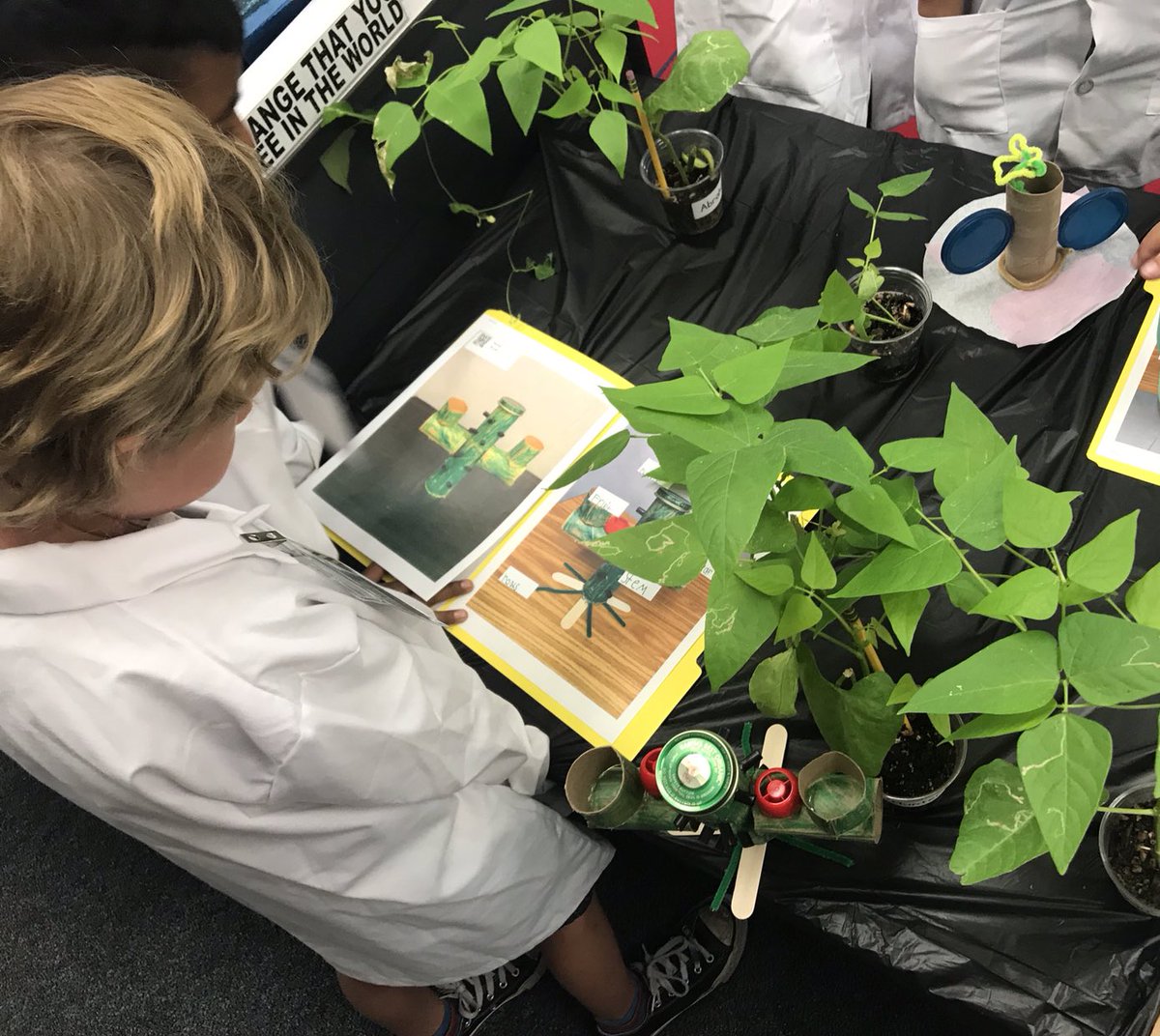 MrsTaylorWHF's tweet photo. Thank you @FallbrookStem teachers and scientists for sharing your learning  with us today. What an amazing collaborative experience for our 1st teams. @MrsLopezFSA @djfirstgrade @SandraCReilly @FUESDSchools https://t.co/Hfet7BrfB5