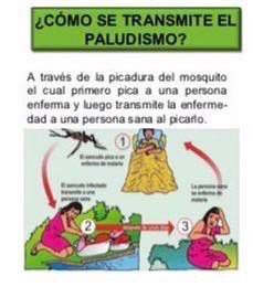 Secretaría del Migrante y Asuntos Internacionales tweet media