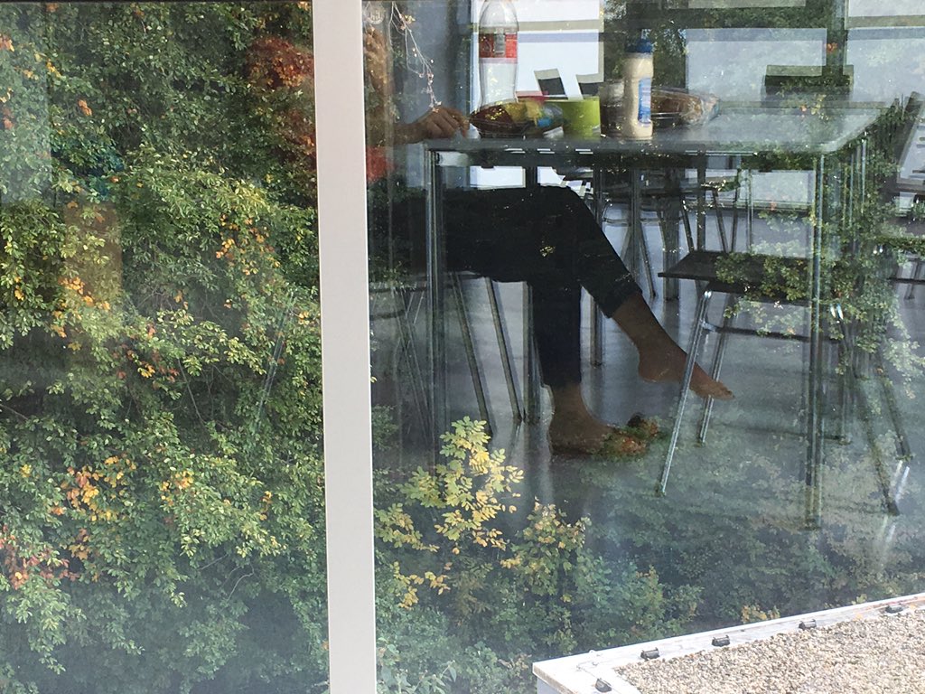 بادوم خانوم tweet media