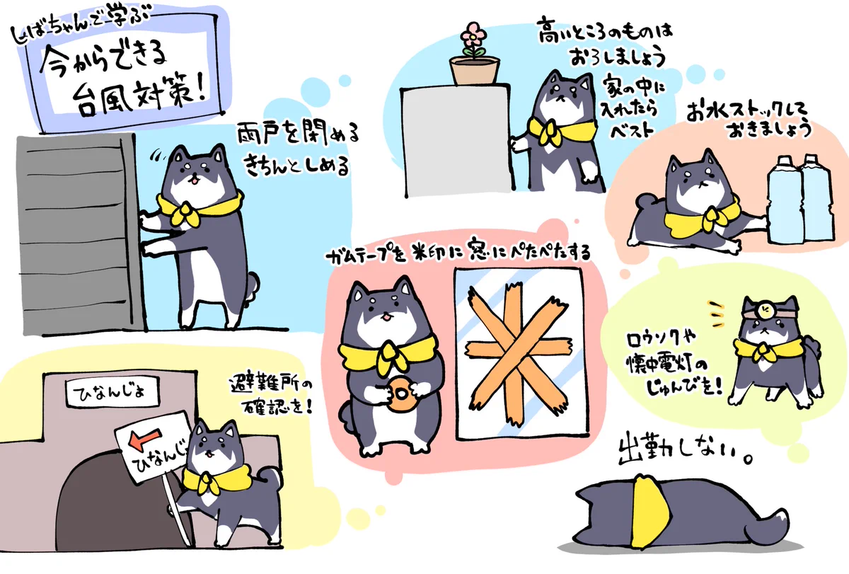 今からでも遅くない？ 今から出来る台風対策！