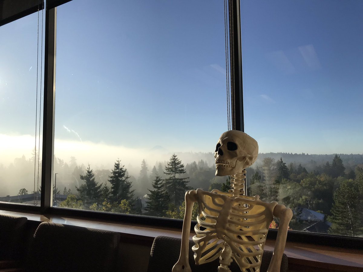 jagranet's tweet photo. Long wait for the orthopedic Doc appt today... https://t.co/CVlY3hczcV
