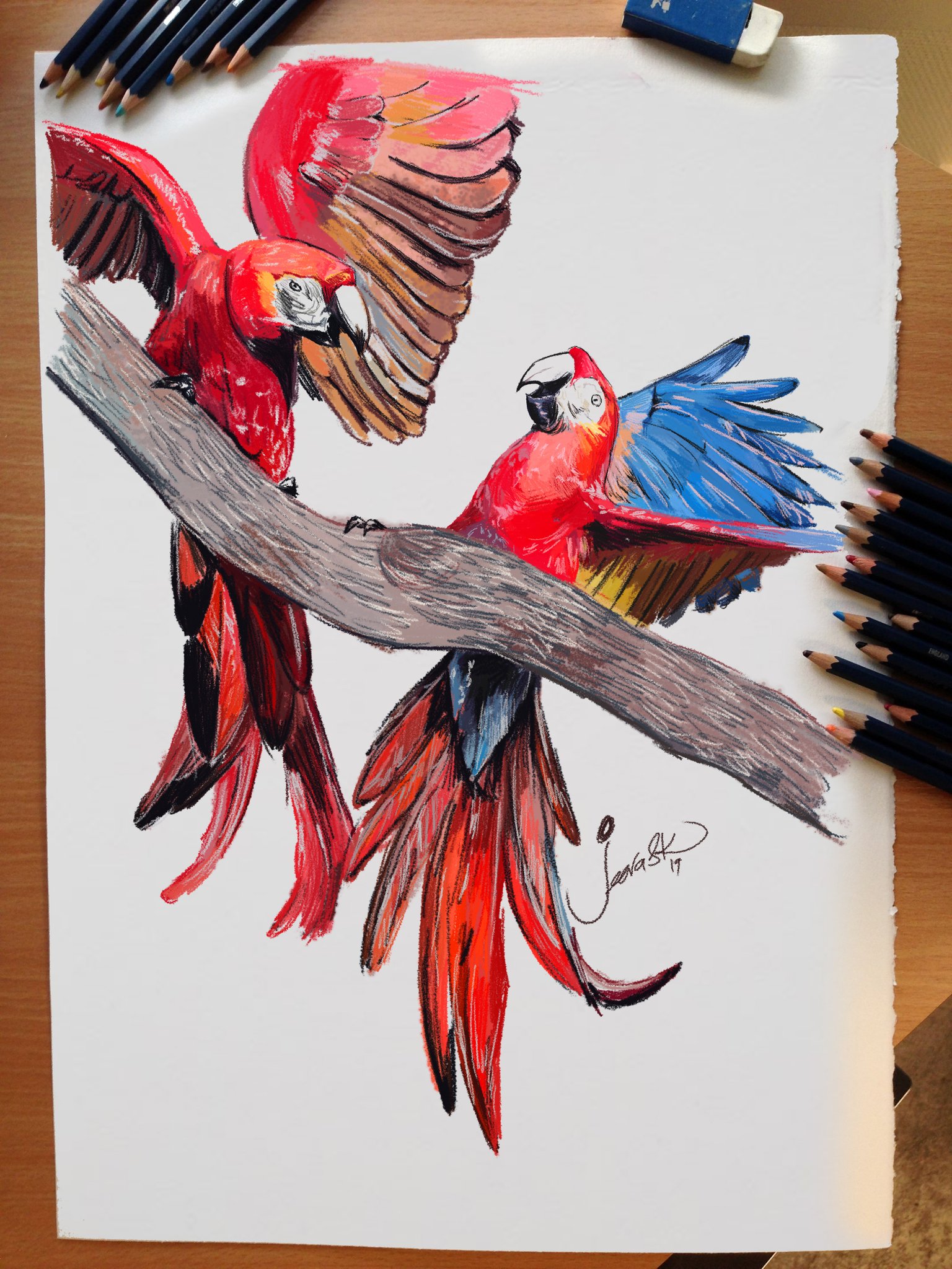 50 Beautiful Color Pencil Drawings from top artists around the world
