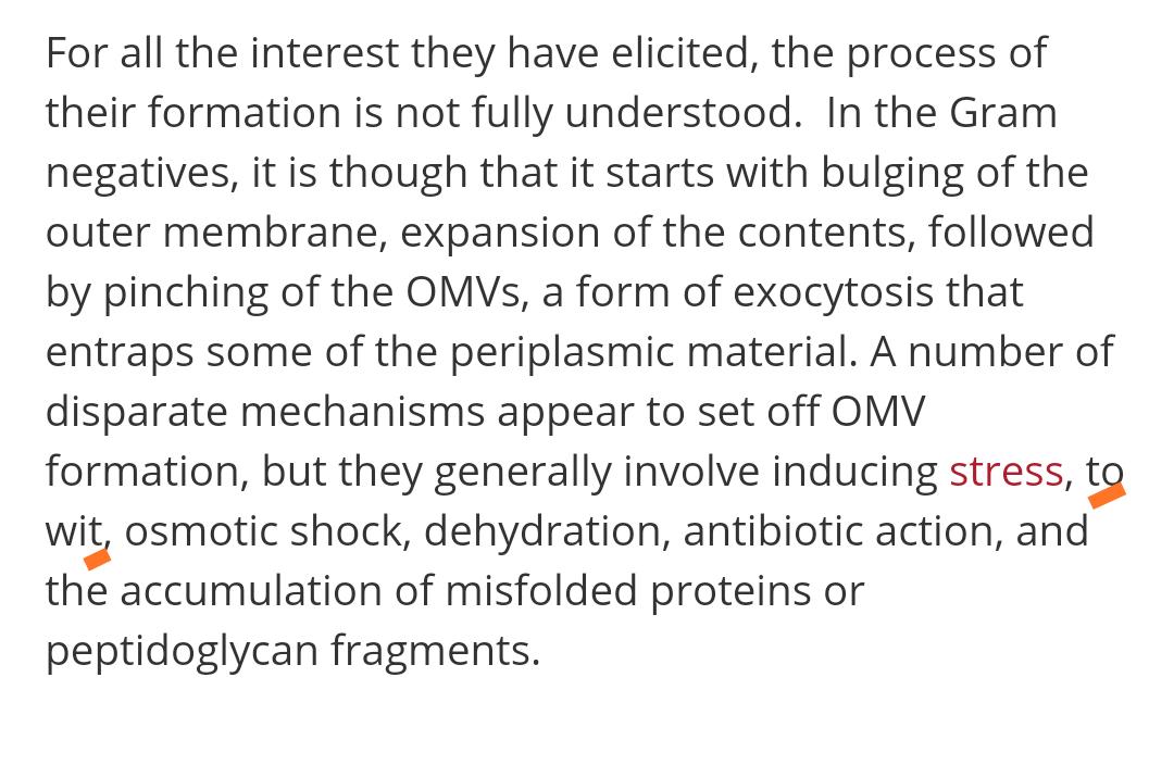 Mark Press tweet media