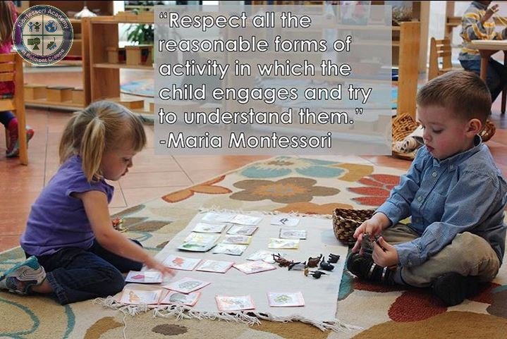 #mabmontessori #montessoriquote #ashburnva #montessoriashburn