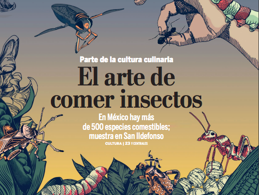 fciencias's tweet photo. #ComunidadUNAM
"El arte de comer insectos" 🦟🐌🦗En el país hay más de 500 especies comestibles: chapulines, chinicuiles, gusanos de maguey @Gaceta_UNAM 😮

❗No te pierdas esta muestra en el Colegio de San Ildefonso #Exposición @Conabio ❗> https://t.co/X1sIccPpNE https://t.co/faVEA5A9OX