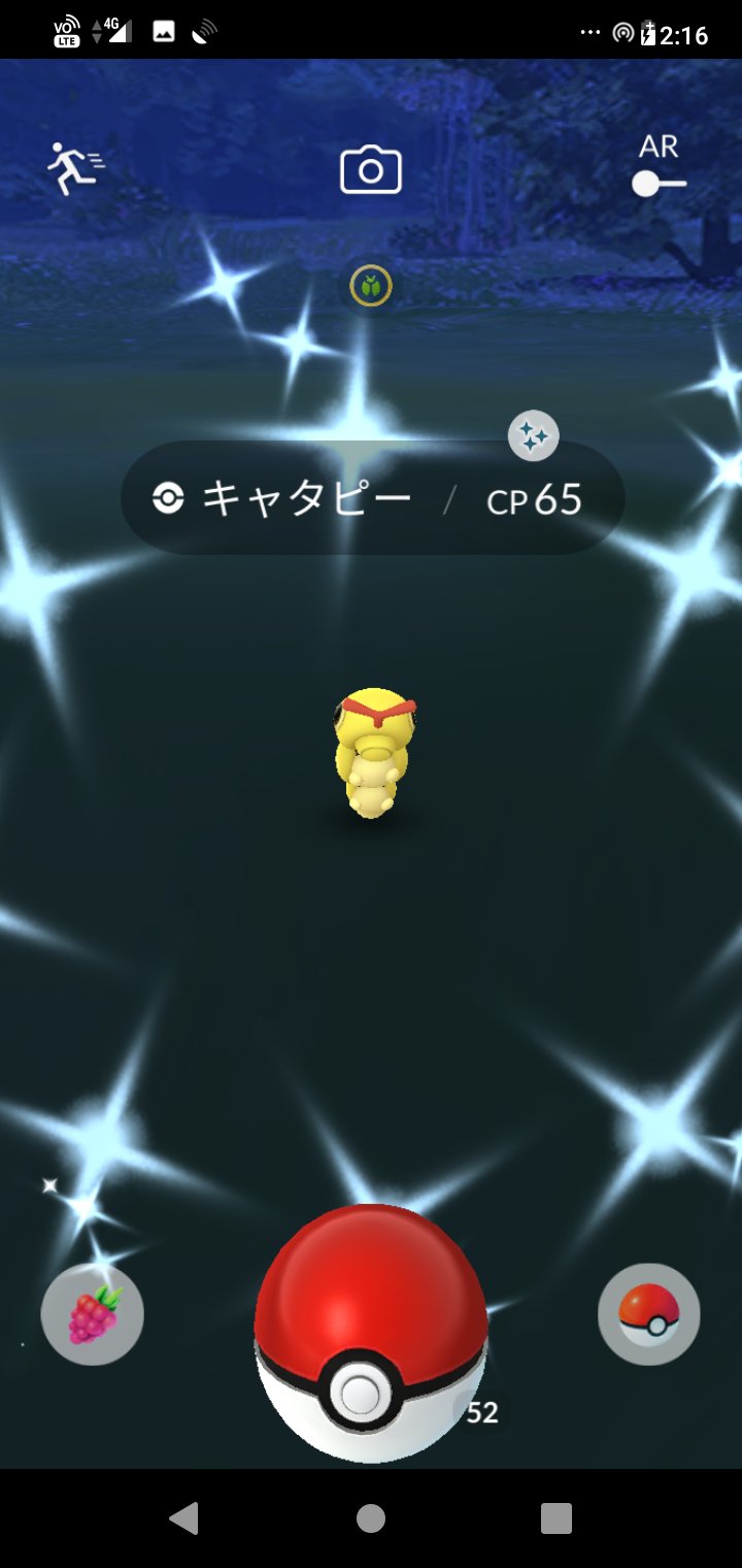 Nori 今日の色違い キャタピー 自宅でゲット 10日間で 3匹目 ポケモンgo ポケモンgo色違い T Co Ennumjjdsi Twitter