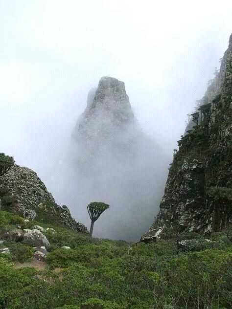 طاب مسائكم بالخيرات والمسرات ودام الله سروركم ومن هذا الجو اللطيف من يمن الايمان نقول لكم جمعة.مباركة