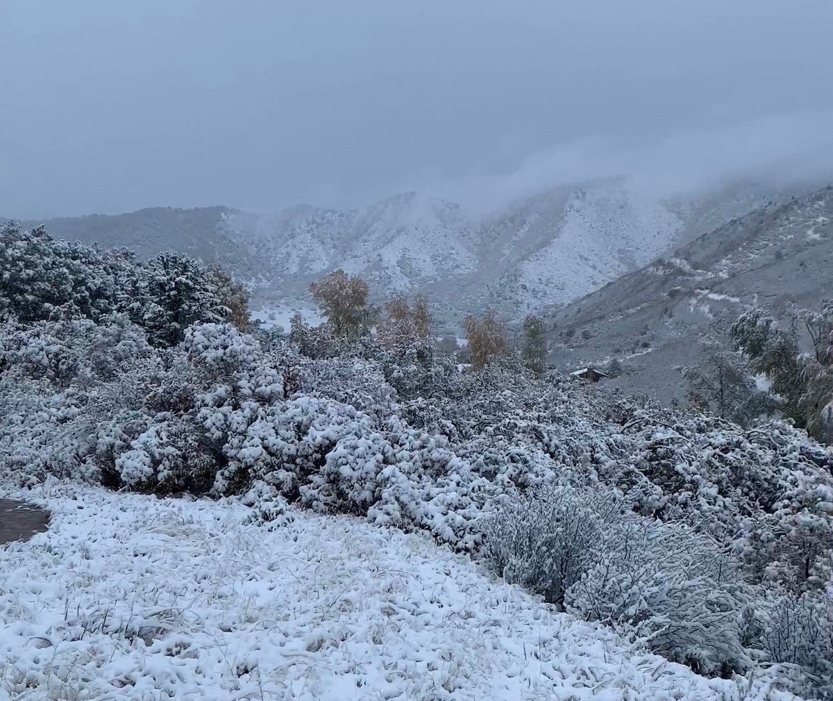 PathfinderISP's tweet photo. We hope everyone is staying warm today and enjoying the first snow of the season!

Shoutout to Jan, a Pathfinder Technician, for taking this wonderful picture at one of our sites this morning! https://t.co/IRgf5yJg9a