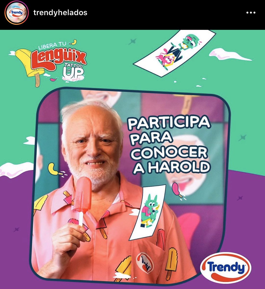 guaschetti tweet media