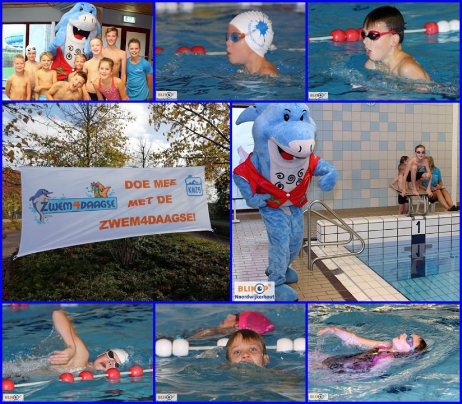 Vier dagen zwemmen bij Optisport de Schelft. bit.ly/33jC2on <a href="/OptisportNWH/">Optisport NWH</a> #noordwijkerhout #zwemvierdaagse #zwem4daagse #deschelft #optisport #zwembad #knzb