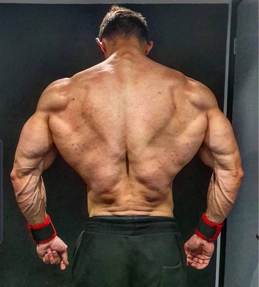 DYNutrition's tweet photo. #ThrowBackThursday with our #DYAthlete @mateasgiuliano
β
BACK ATTACK
________
#DYNutrition #DoTheWork
#theShadowLine #createalegacy
#dy #dorianyates #back #wings #dedication #motivation #bodybuilding #mansphysique #champion #goals https://t.co/Nsxg6VC55h