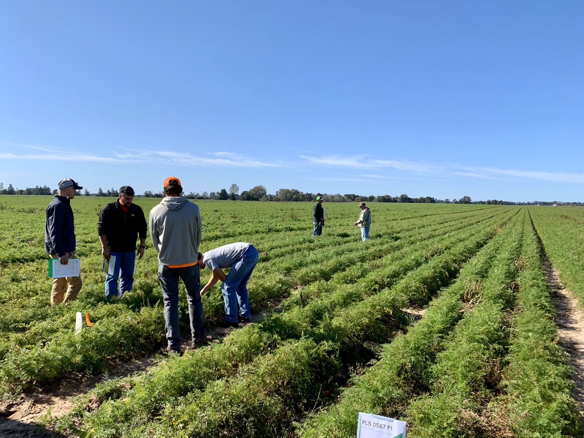 Pure Line Seeds, Inc tweet media