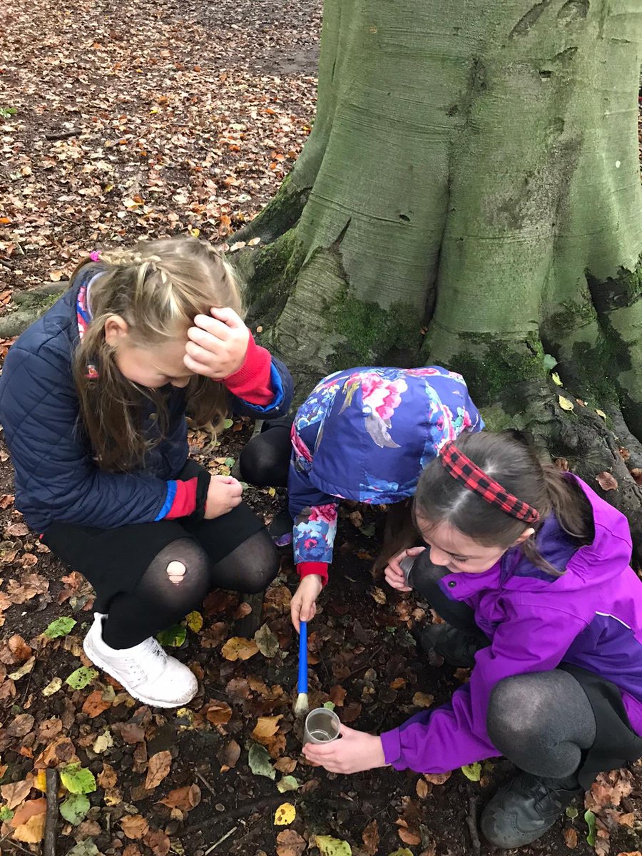 DringhousesPS's tweet photo. A whole tribe of Dringhouses explorers! Classes 8 and 9 have had a fantastic day at Tropical World bringing their geography learning to life as part of our rainforest learning project #DringGeography #DringScience ๐ฟ๐ฆ๐ฆ๐ https://t.co/2lpxc5M0dr