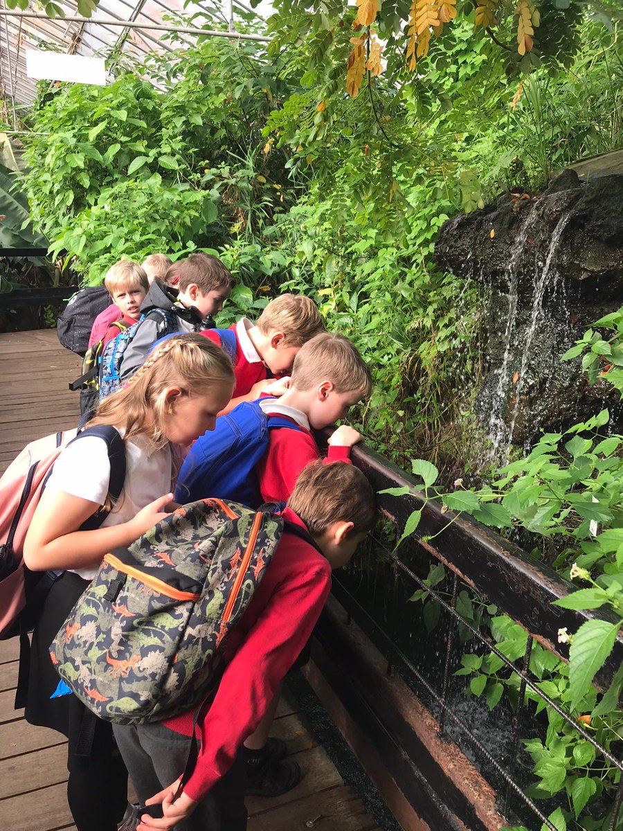 DringhousesPS's tweet photo. A whole tribe of Dringhouses explorers! Classes 8 and 9 have had a fantastic day at Tropical World bringing their geography learning to life as part of our rainforest learning project #DringGeography #DringScience ๐ฟ๐ฆ๐ฆ๐ https://t.co/2lpxc5M0dr