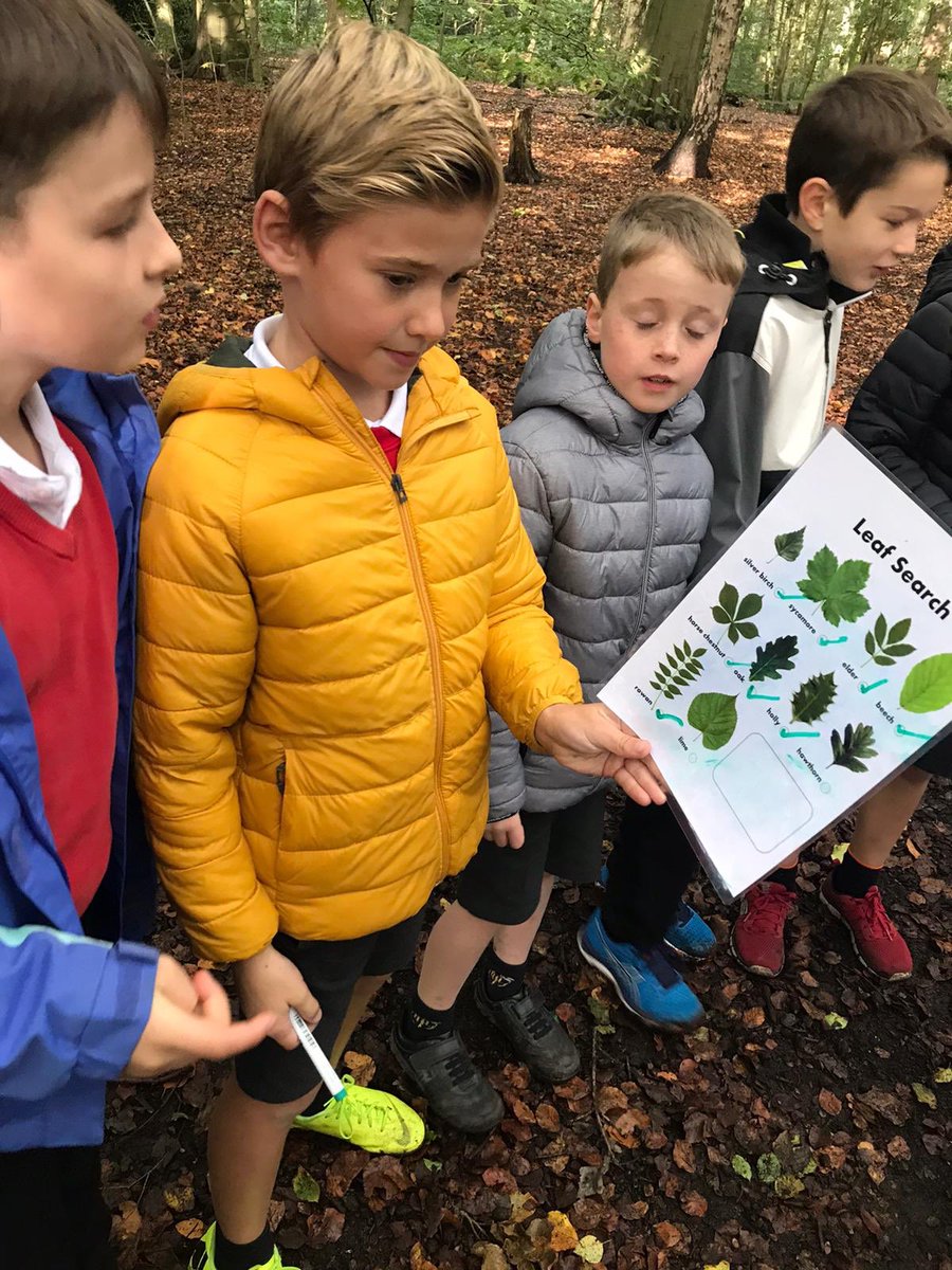 DringhousesPS's tweet photo. A whole tribe of Dringhouses explorers! Classes 8 and 9 have had a fantastic day at Tropical World bringing their geography learning to life as part of our rainforest learning project #DringGeography #DringScience ๐ฟ๐ฆ๐ฆ๐ https://t.co/2lpxc5M0dr