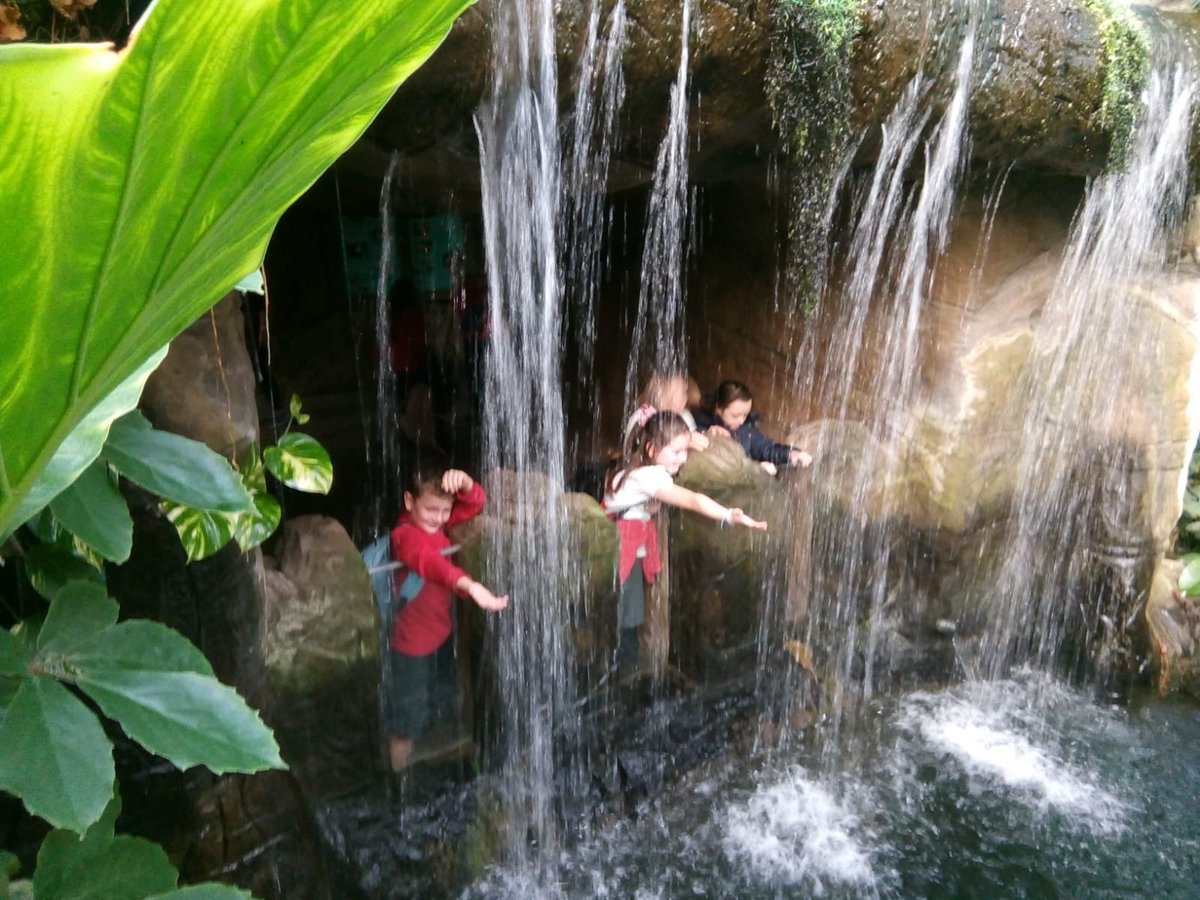 DringhousesPS's tweet photo. A whole tribe of Dringhouses explorers! Classes 8 and 9 have had a fantastic day at Tropical World bringing their geography learning to life as part of our rainforest learning project #DringGeography #DringScience ๐ฟ๐ฆ๐ฆ๐ https://t.co/2lpxc5M0dr
