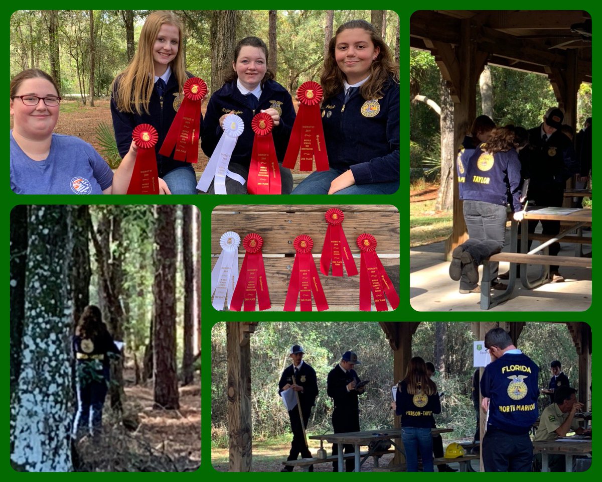 CityAggie's tweet photo. Congrats #TaylorFFA MS on 2nd Place in our District @floridaffa #Forestry Contest! @tayloraged earned 2nd place individuals in Maps, Forestry ID, Knowledge &amp; 3rd place in Forest Disorders. #RacinTowardsSuccess @TMHSWildcats @WildcatCTE @VolusiaCTE @volusiaschools @FLForestService https://t.co/wBNZFYzfkJ