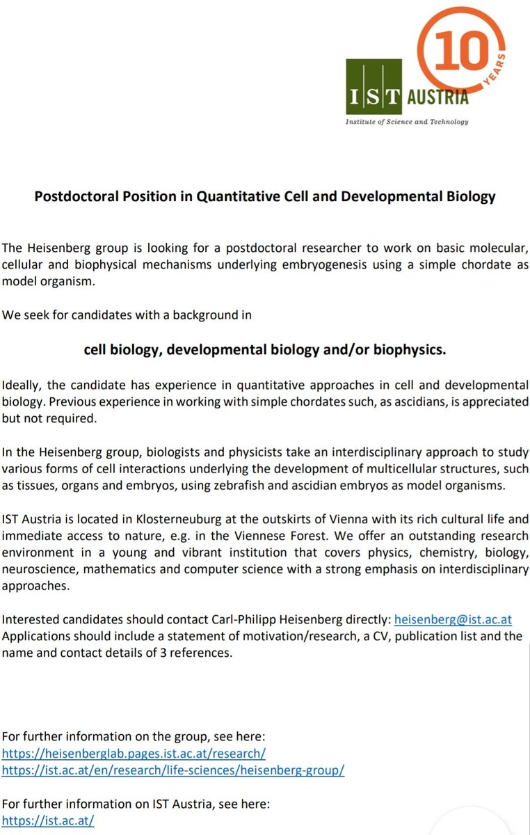 Heisenberg Lab tweet media