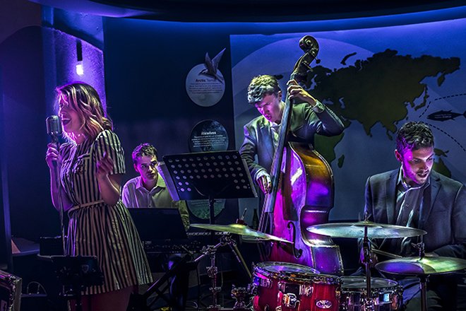 all__risks's tweet photo. #FridayNightJazz
Explore the waters of the world the second Friday of every month with live jazz music as you sip on a drink under the sea.

October 11, 2019, 7:00 pm - 11:00 pm 
____
#Toronto #Music #Fish #TGIF #Jazz  #Fish #Datenight #Familyfun https://t.co/al2PZZ5N23