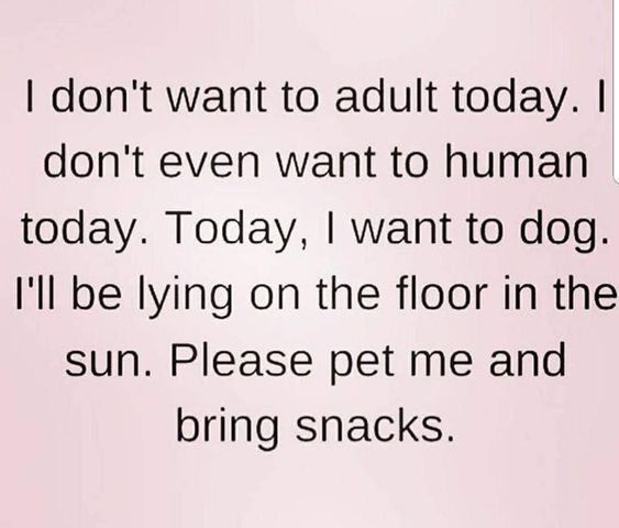 _ginx_'s tweet image. #today